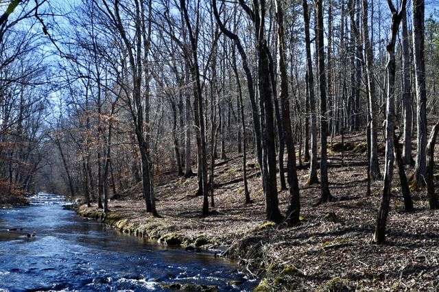 0 Allens Creek Road, Hohenwald, TN 38462