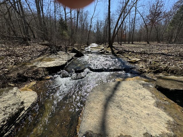 0 Allens Creek Road, Hohenwald, TN 38462