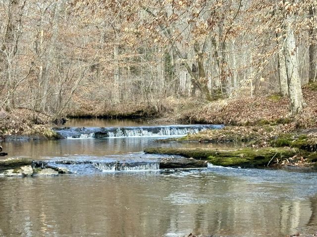 0 Allens Creek Road, Hohenwald, TN 38462