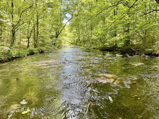 0 Allens Creek Road, Hohenwald, TN 38462