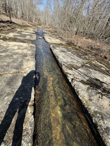 0 Allens Creek Road, Hohenwald, TN 38462