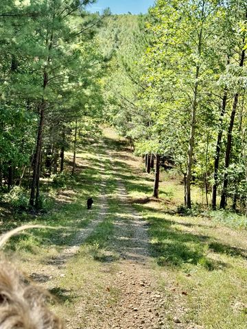 0 Allens Creek Road, Hohenwald, TN 38462