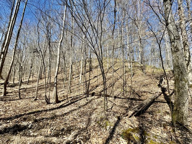 0 Allens Creek Road, Hohenwald, TN 38462
