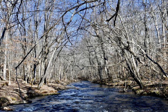 0 Allens Creek Road, Hohenwald, TN 38462