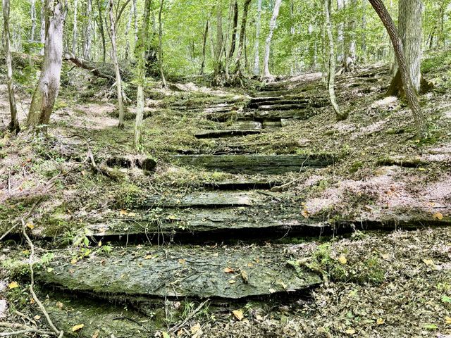 0 Allens Creek Road, Hohenwald, TN 38462