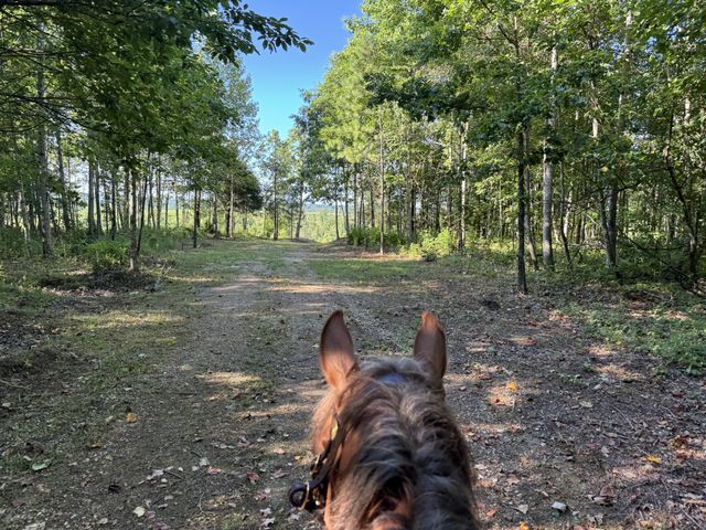 0 Allens Creek Road, Hohenwald, TN 38462