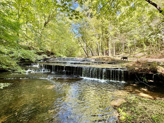 0 Allens Creek Road, Hohenwald, TN 38462