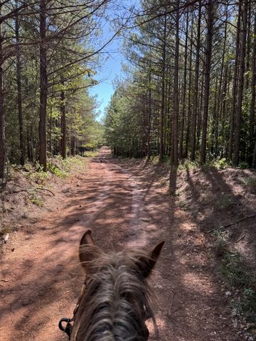 0 Allens Creek Road, Hohenwald, TN 38462