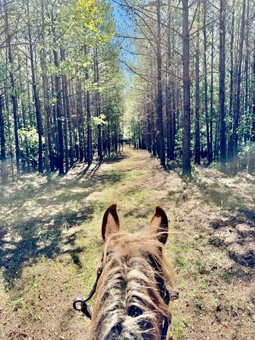 0 Allens Creek Road, Hohenwald, TN 38462