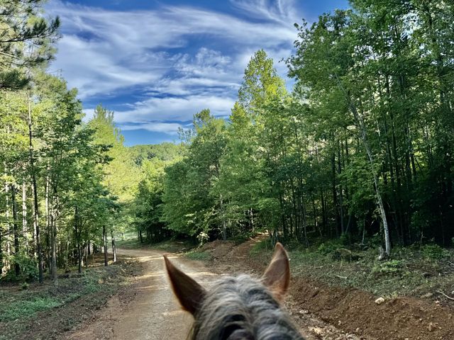 0 Allens Creek Road, Hohenwald, TN 38462