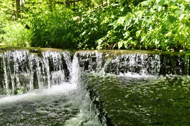 0 Allens Creek Road, Hohenwald, TN 38462