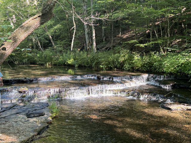 0 Allens Creek Road, Hohenwald, TN 38462