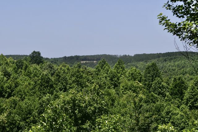 0 Allens Creek Road, Hohenwald, TN 38462