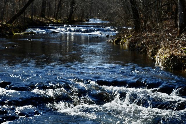 0 Allens Creek Road, Hohenwald, TN 38462