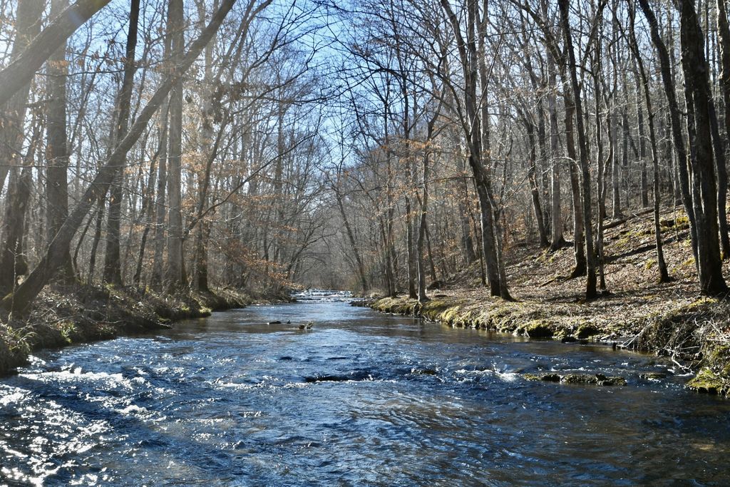 0 Allens Creek Road, Hohenwald, TN 38462