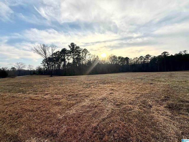Lot 3 CEDAR SPRINGS DRIVE, Jacksonville, AL 36265