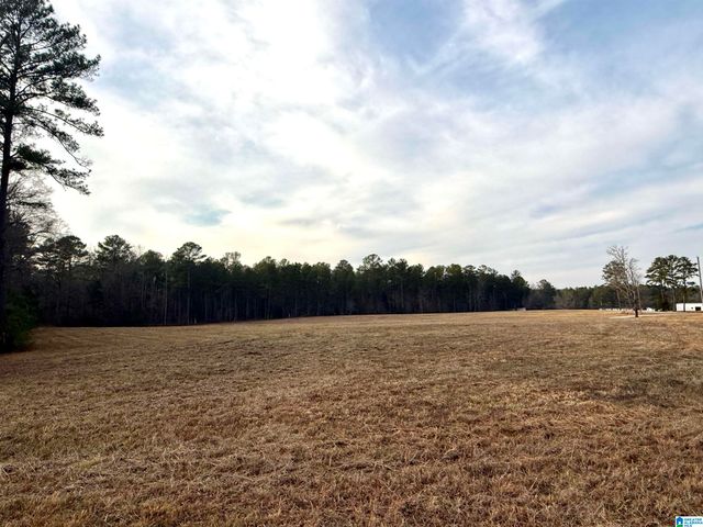 Lot 3 CEDAR SPRINGS DRIVE, Jacksonville, AL 36265