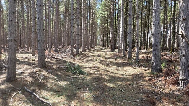 8550 N 5th Avenue, Westfield, WI 53964