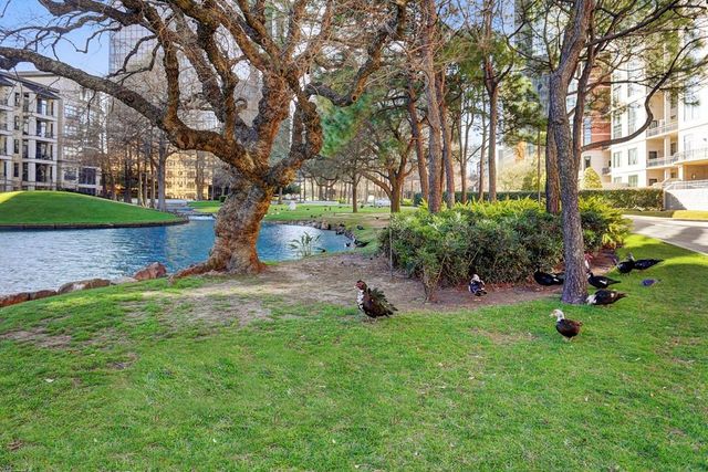 5005 Hidalgo Street 807, Houston, TX 77056