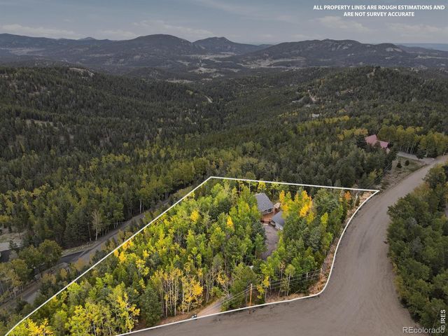11436 Nancys Drive, Conifer, CO 80433