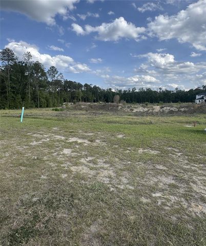 14759 SW 9TH LANE, Newberry, FL 32669