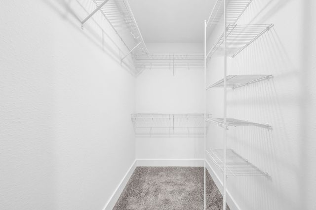 357 Cardinal Creek, Clarksville, TN 37040