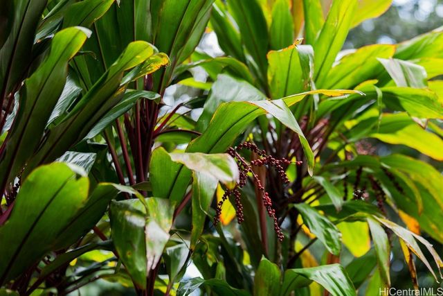 3242 Pelekane Drive, Honolulu, HI 96817