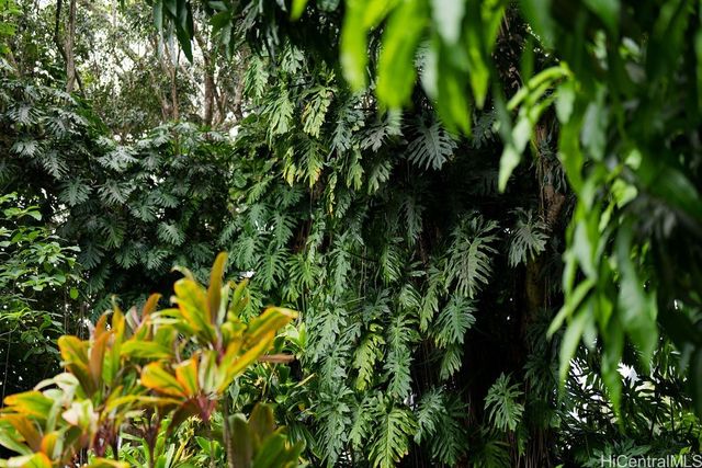 3242 Pelekane Drive, Honolulu, HI 96817