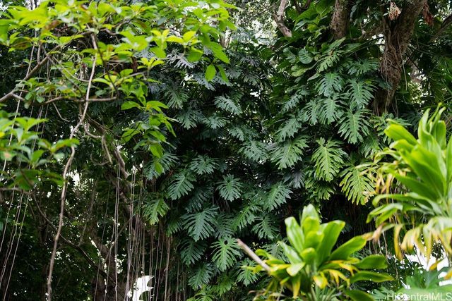 3242 Pelekane Drive, Honolulu, HI 96817