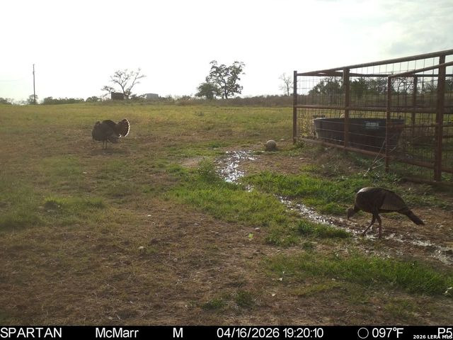 718 Ranch to Market 473, Comfort, TX 78013
