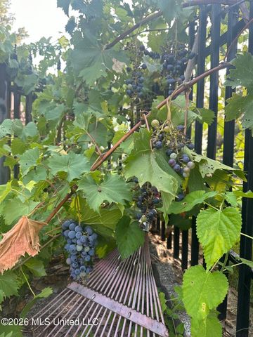 8831 Cypress Cove, Southaven, MS 38671