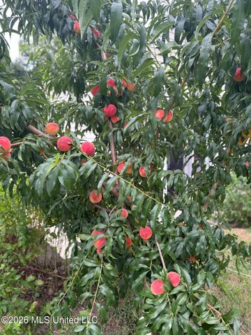 8831 Cypress Cove, Southaven, MS 38671