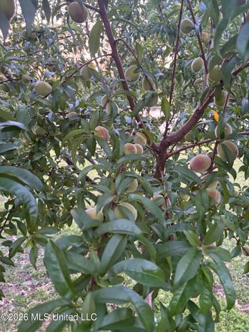 8831 Cypress Cove, Southaven, MS 38671