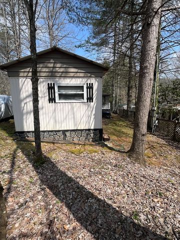 22 Leisure Woods Circle, Hiawassee, GA 30546