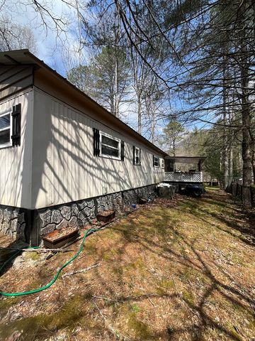 22 Leisure Woods Circle, Hiawassee, GA 30546
