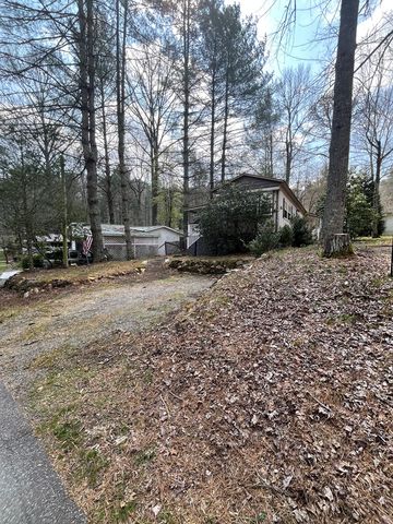 22 Leisure Woods Circle, Hiawassee, GA 30546