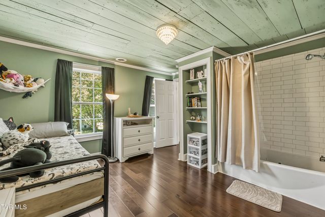 217 South Irish Street, Greeneville, TN 37743