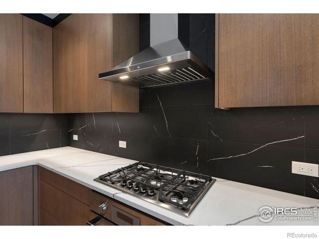 205 E 6th Street 204, Loveland, CO 80537