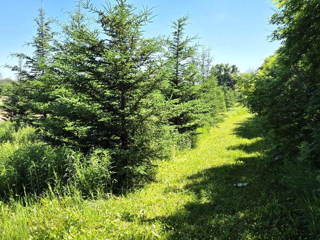 W985 Fur Farm ROAD, New Holstein, WI 53061