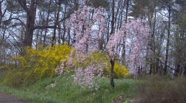 8295 D Drive S, Newton Twp, MI 49033