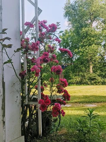 8295 D Drive S, Newton Twp, MI 49033