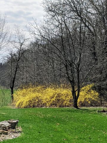 8295 D Drive S, Newton Twp, MI 49033