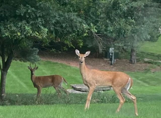 4280 Ridge ROAD, Colgate, WI 53017