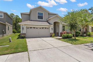 20405 AUTUMN FERN AVENUE, Tampa, FL 33647