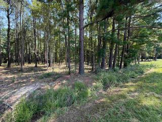Lot 3 Highway 668, Conway, SC 29526