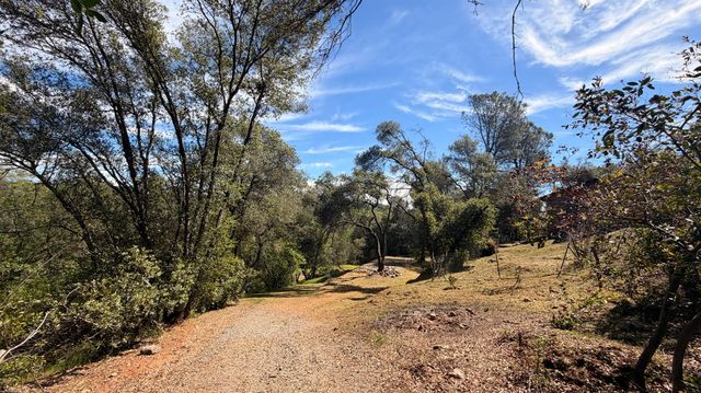 2988 Golden Gate Dr, San Andreas, CA 95249