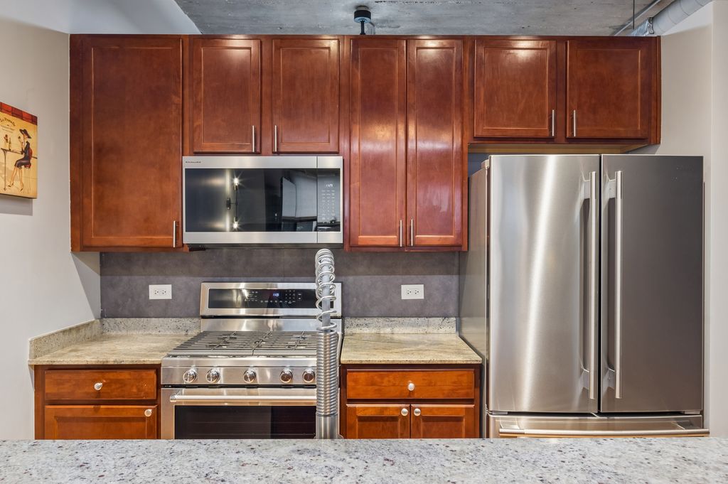 1150 W 15th Street 306, Chicago, IL 60608 — photo 5