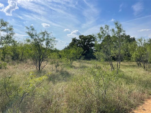 TBD Fm-1658, Bridgeport, TX 76426
