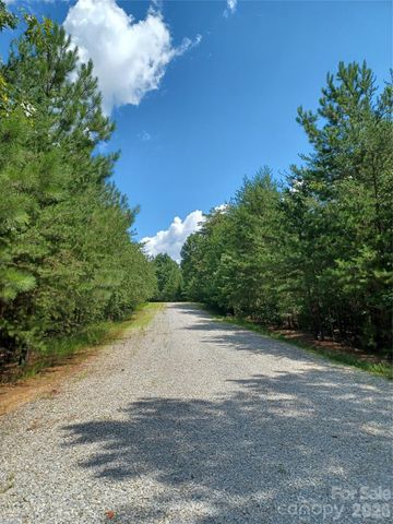 88 Lowden Drive 88, Nebo, NC 28761
