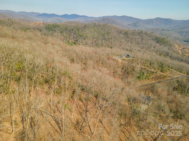 0 Shining Rock Path 11, Horse Shoe, NC 28742